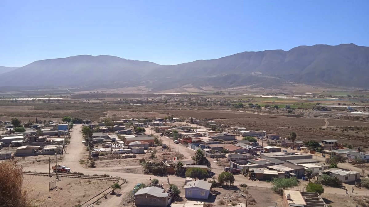 Vista