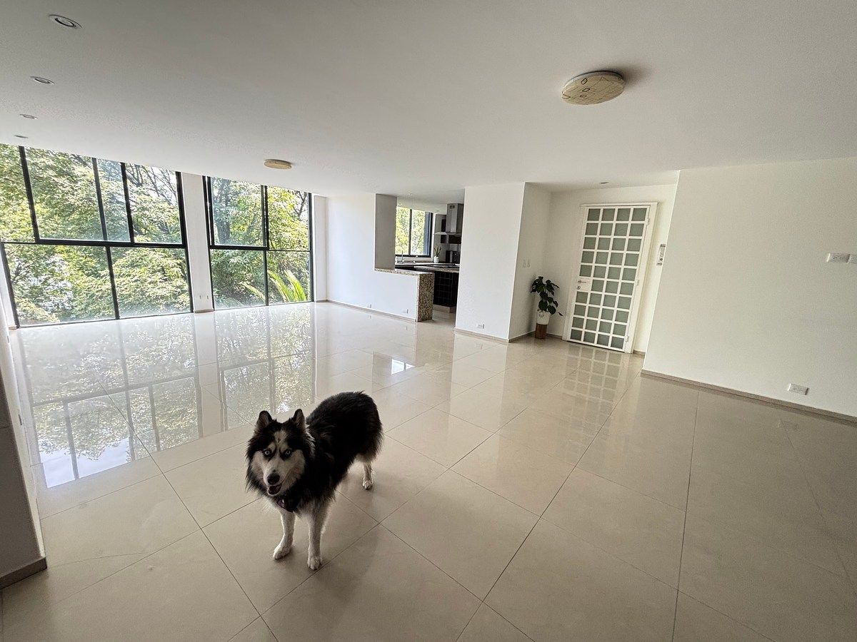 Departamento en Colonia Condesa, Cuauhtémoc, foto 5 de 21