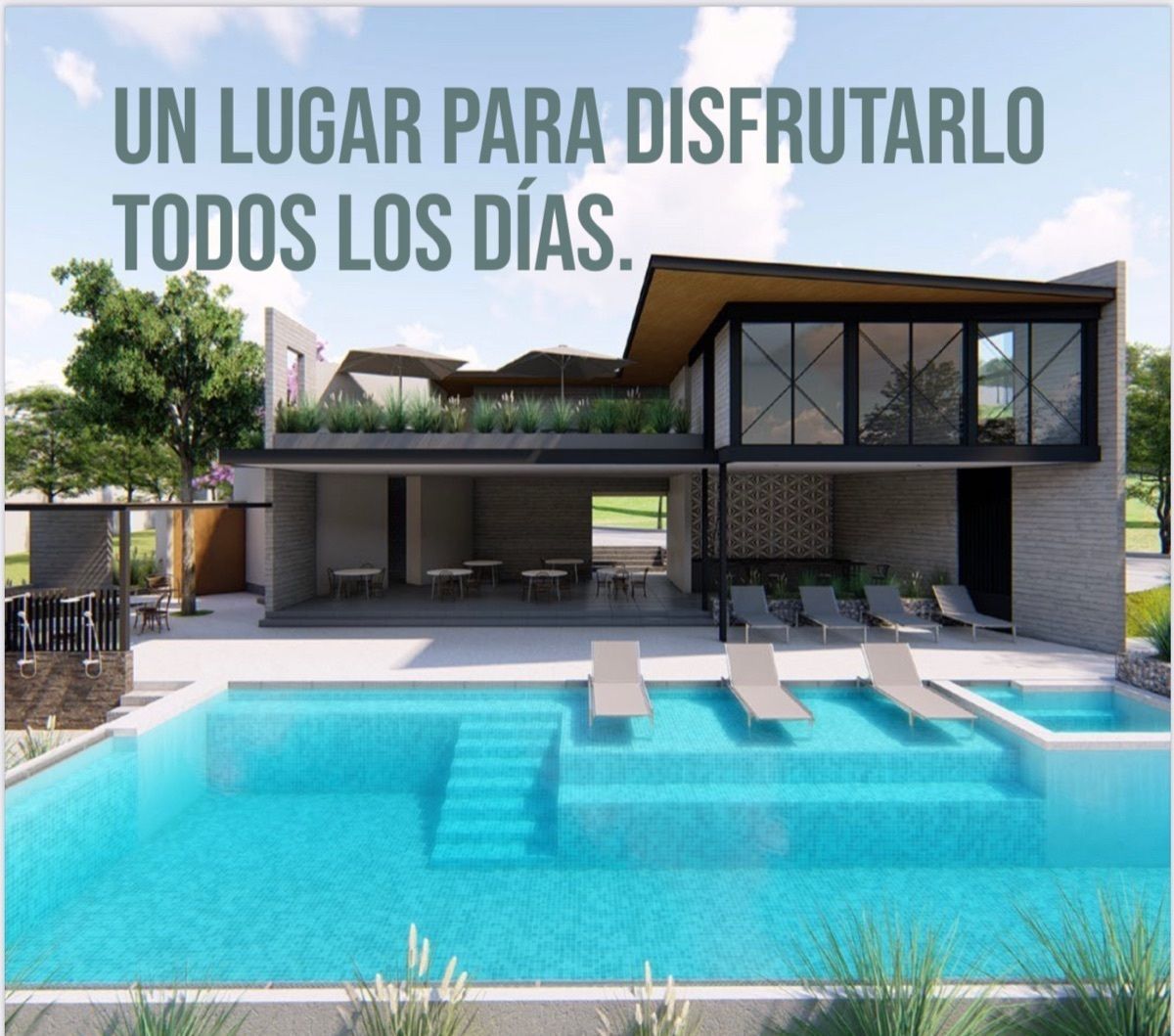 6 de 24