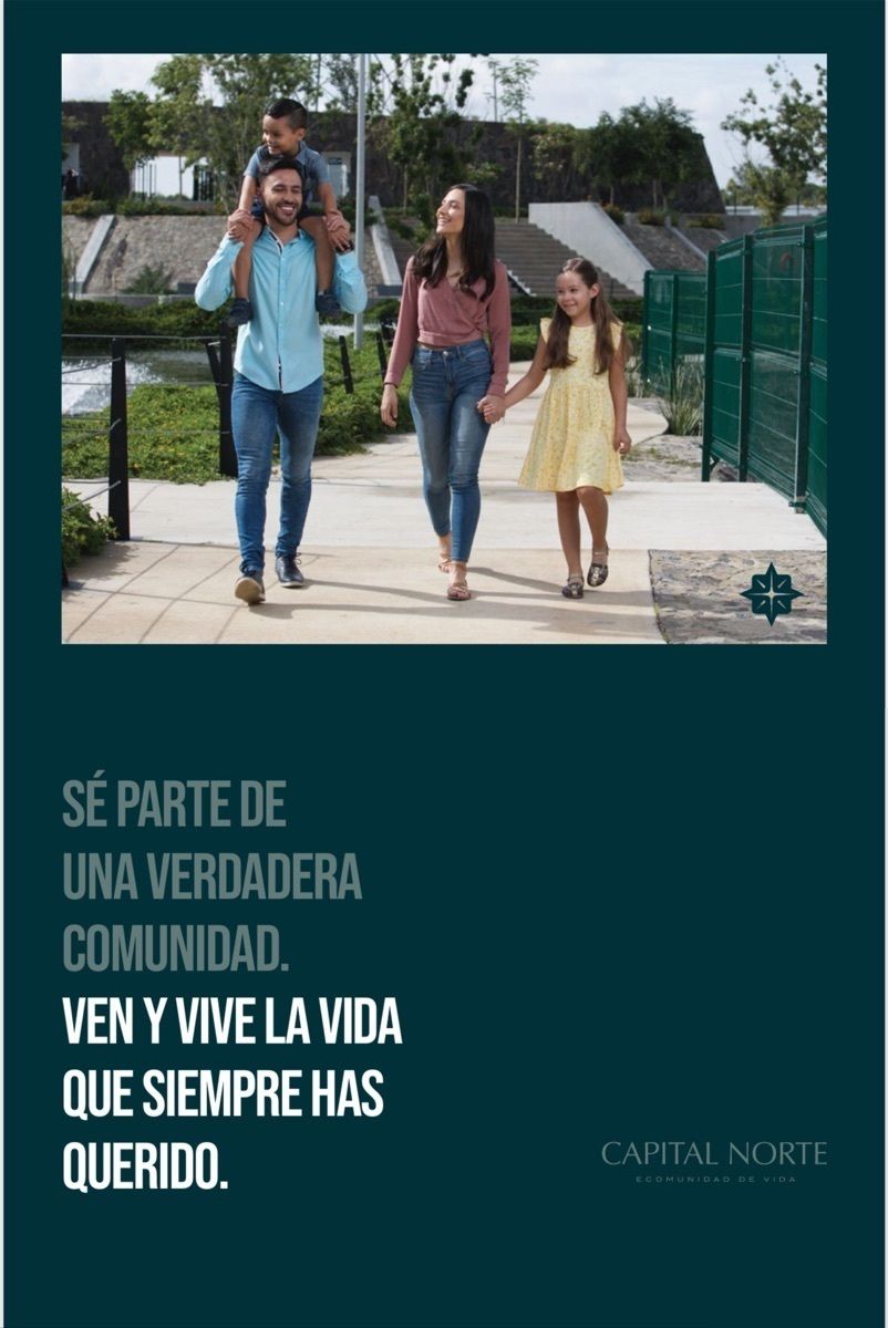 10 de 24