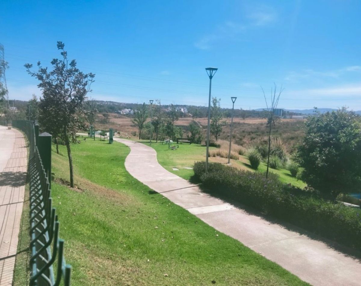 14 de 24