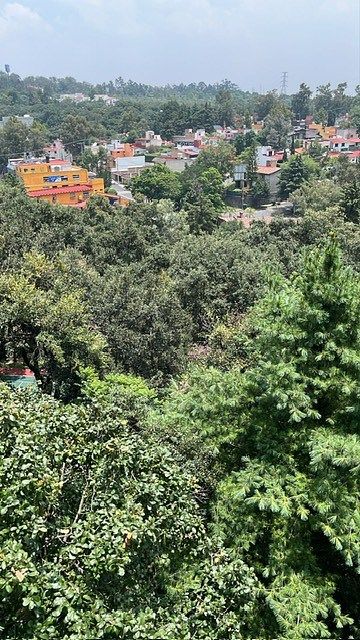 Departamento en Alcantarilla, Álvaro Obregón, foto 15 de 36