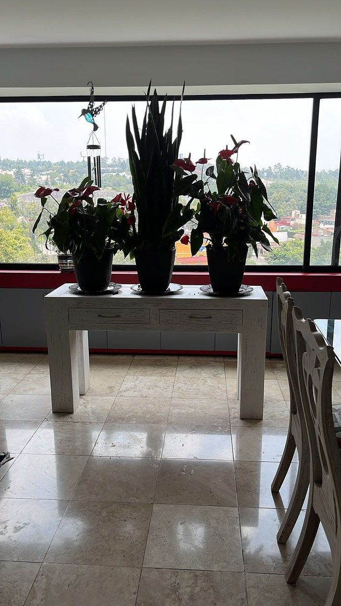 Departamento en Alcantarilla, Álvaro Obregón, foto 23 de 36