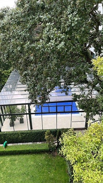 Departamento en Alcantarilla, Álvaro Obregón, foto 34 de 36
