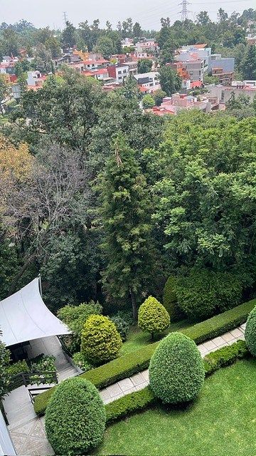 Departamento en Alcantarilla, Álvaro Obregón, foto 35 de 36