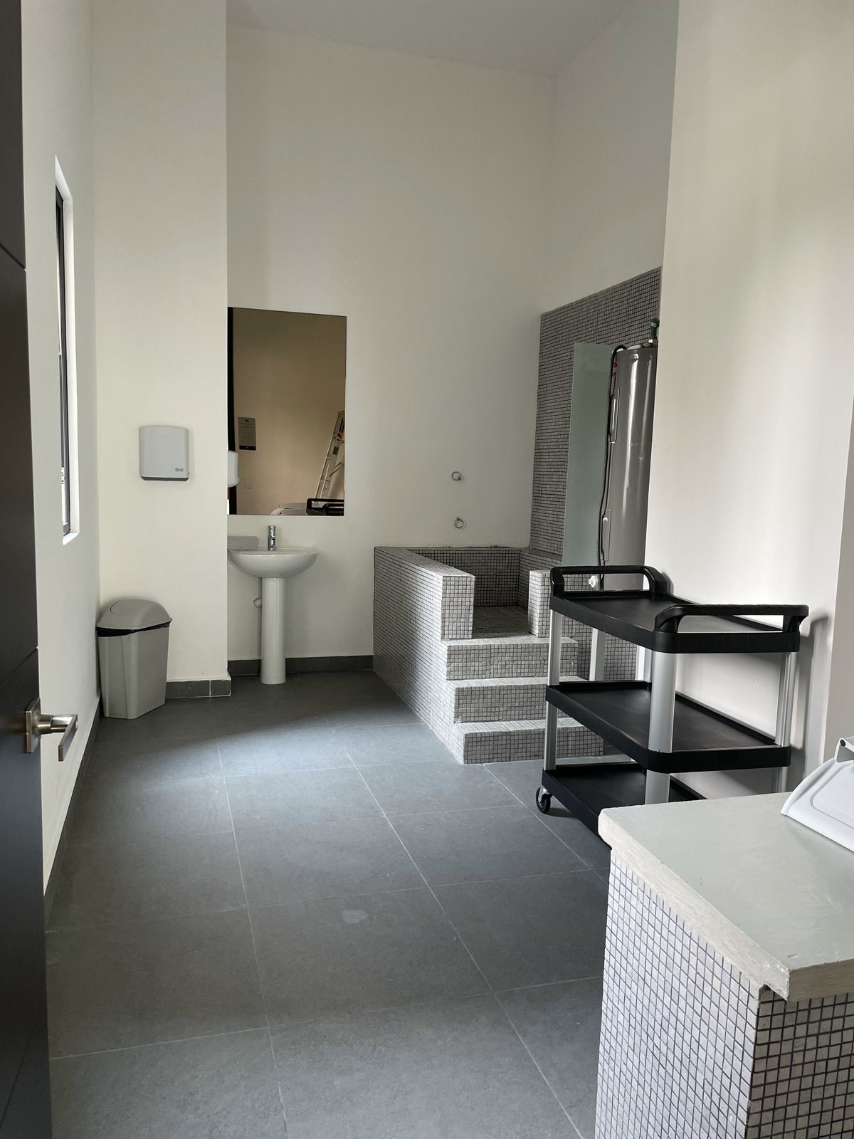 21 de 38: Spa mascotas