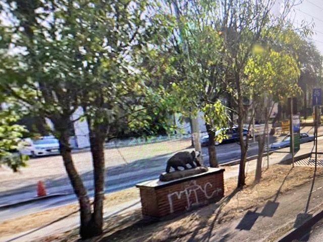 doble calzada y camellón en medio