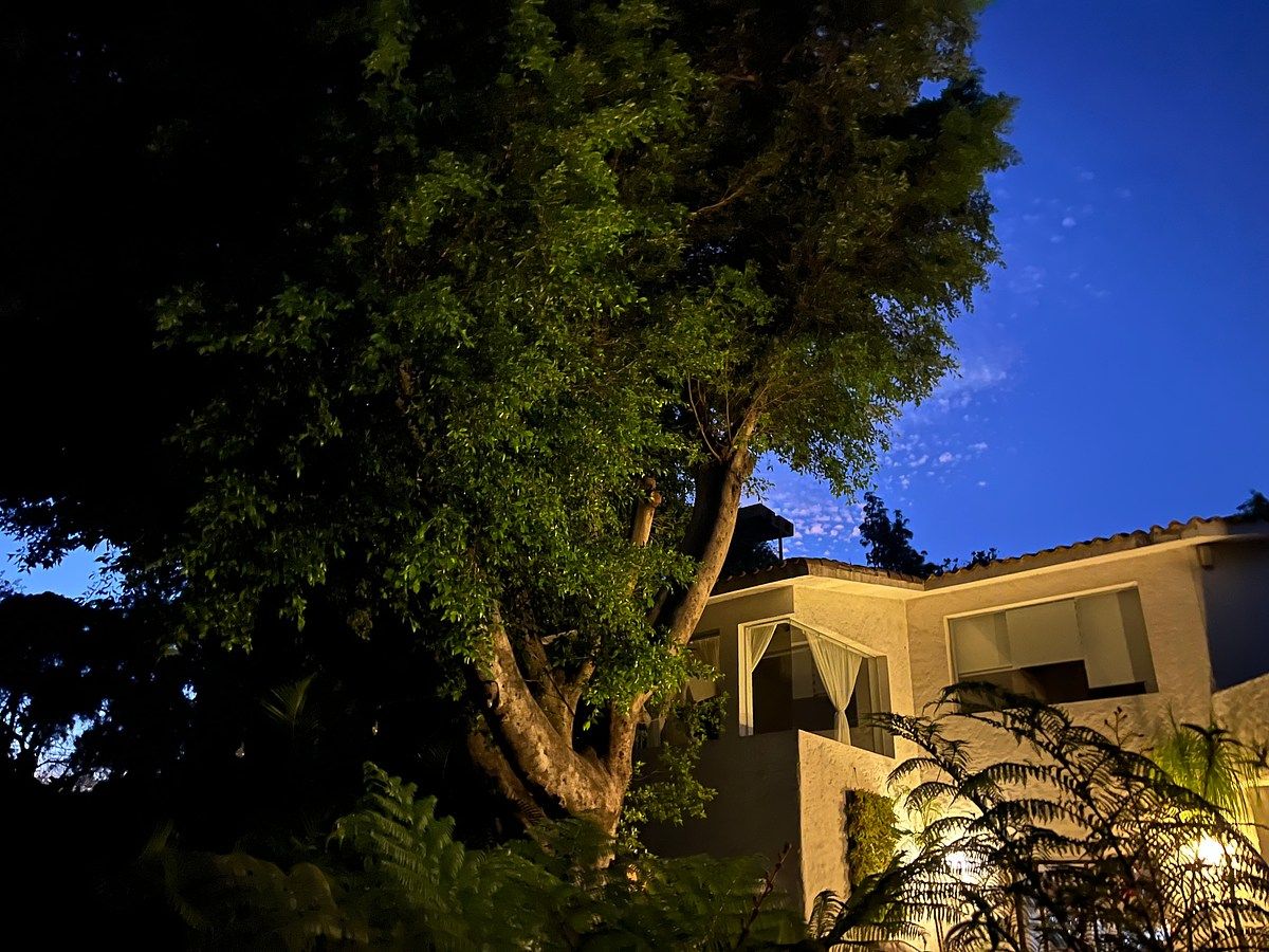 Casa en Los Limoneros, Cuernavaca, foto 18 de 21