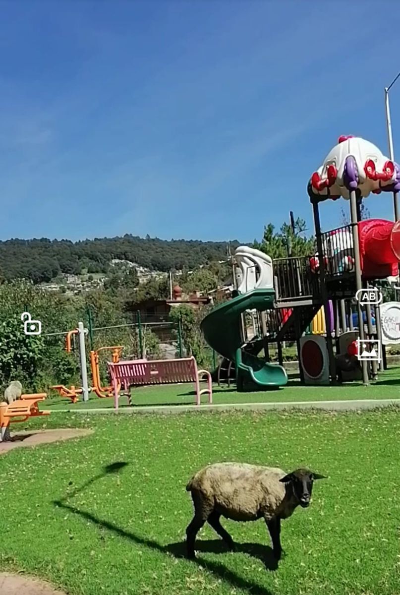 9 de 9