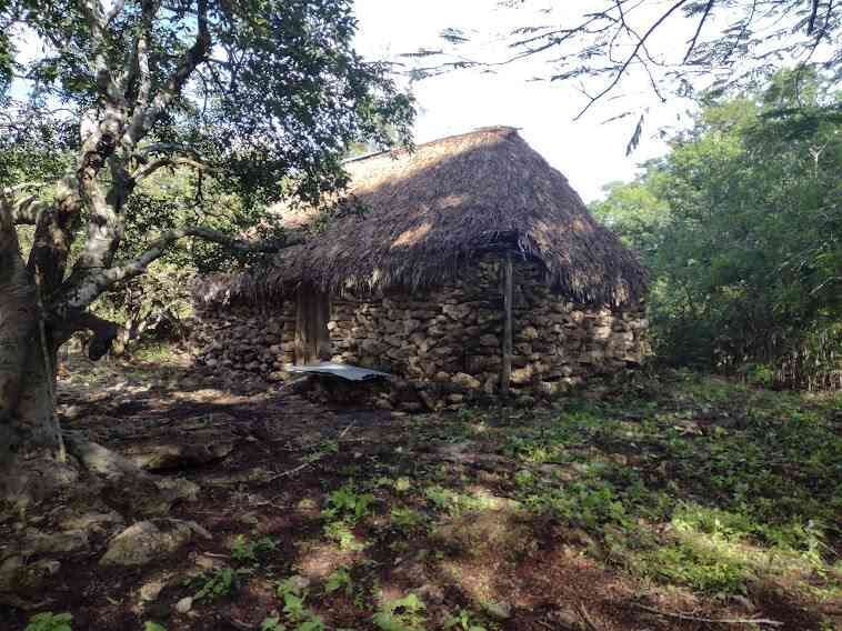 Venta de terreno ,agrícola , Dzilam de Bravo,Yucatán - foto 3