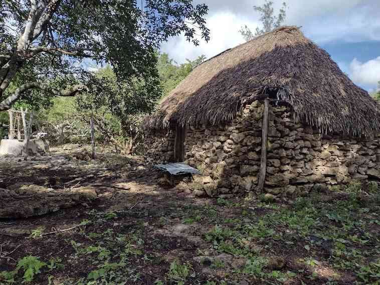 Venta de terreno ,agrícola , Dzilam de Bravo,Yucatán - foto 4