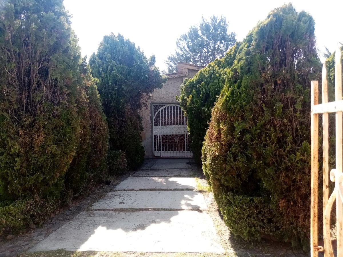 4 de 8