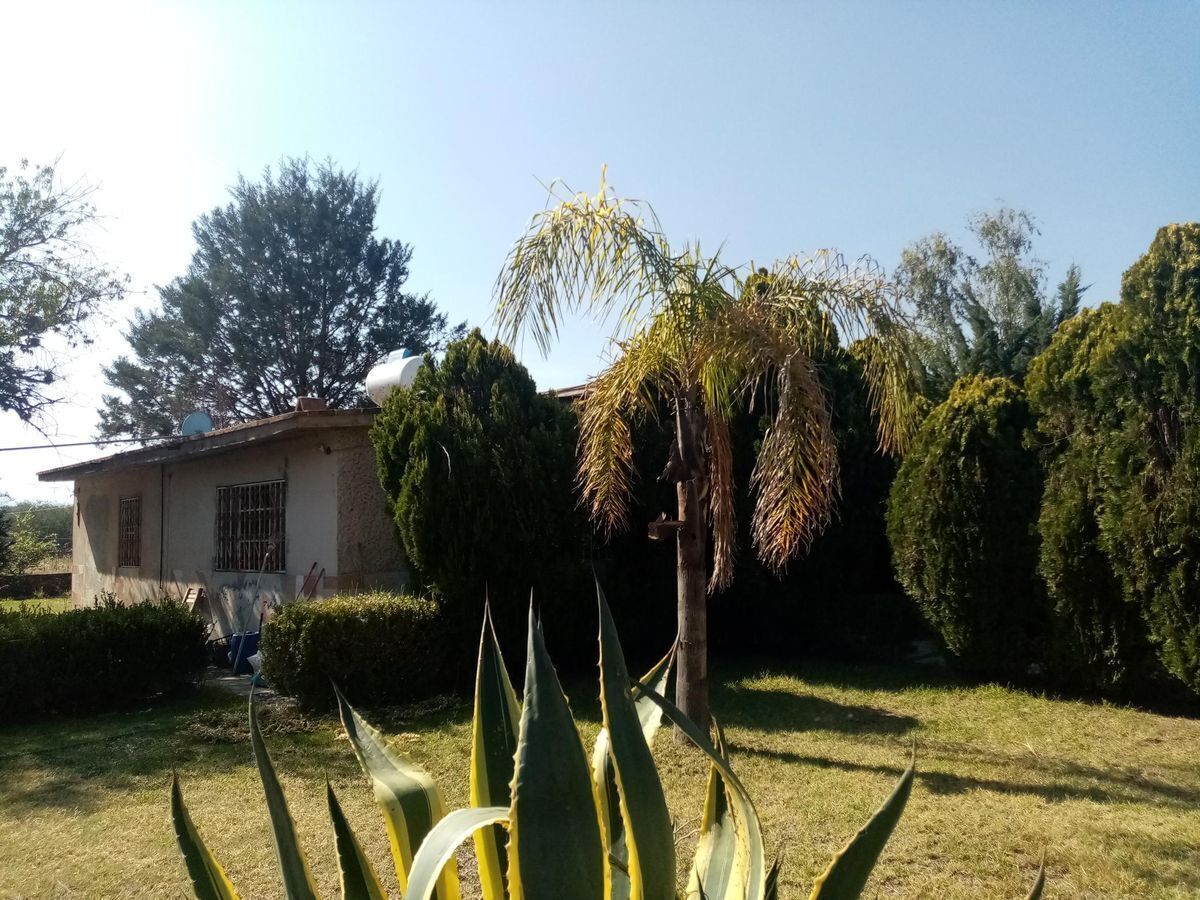 5 de 8