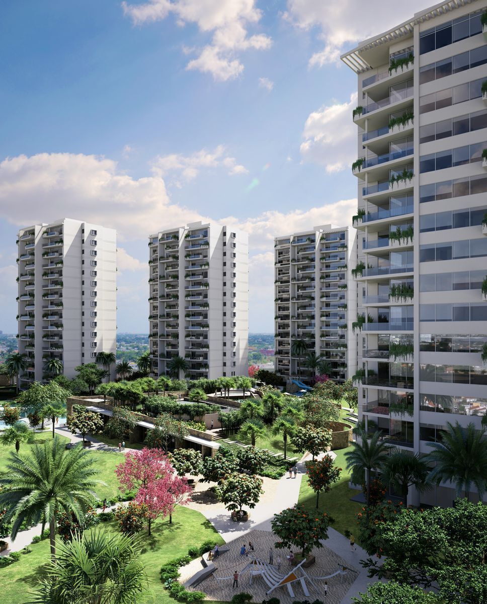 38 de 39: Desarrollo