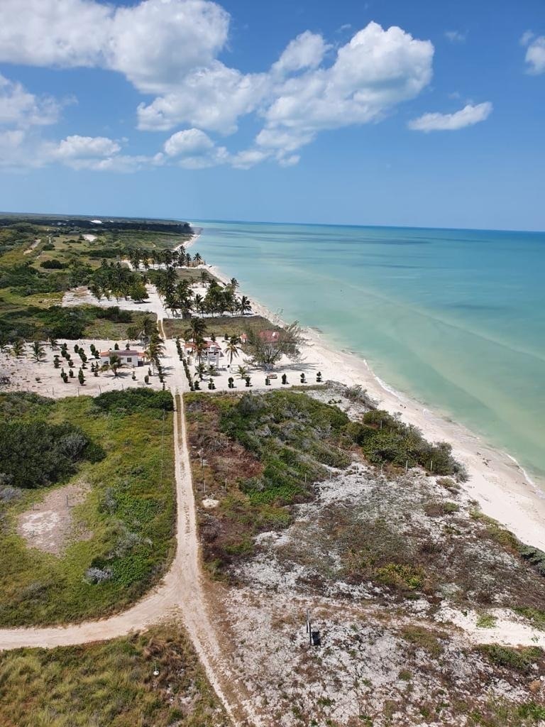 Terreno frente al mar El Palmar Celestún EasyBroker