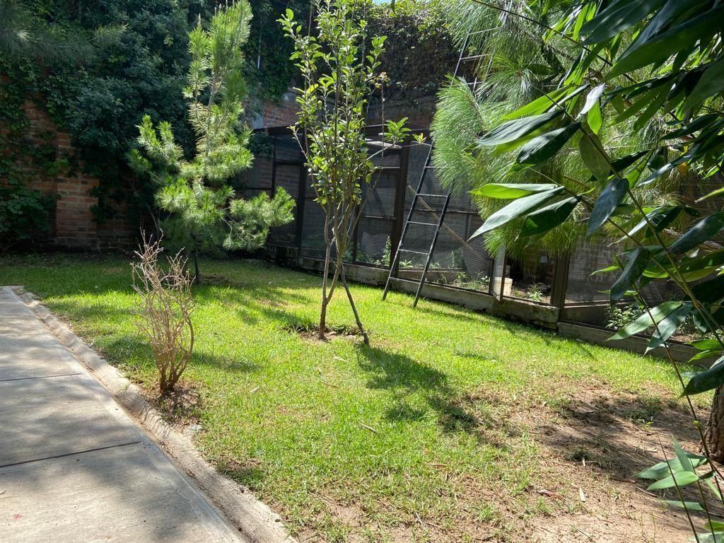 29 de 31