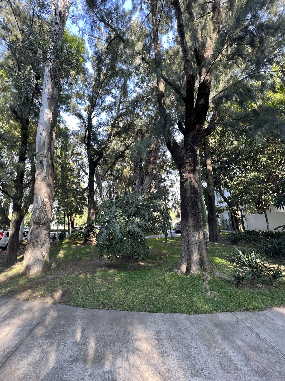 2 de 36