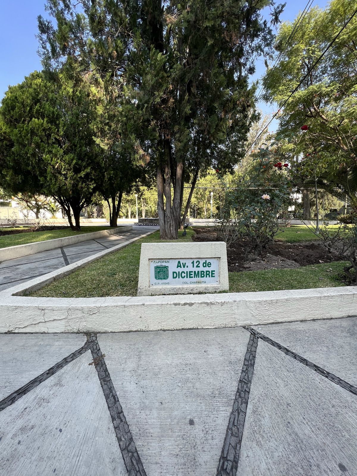 4 de 36