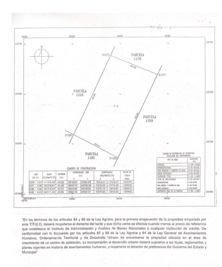 Imagen 3 de 6