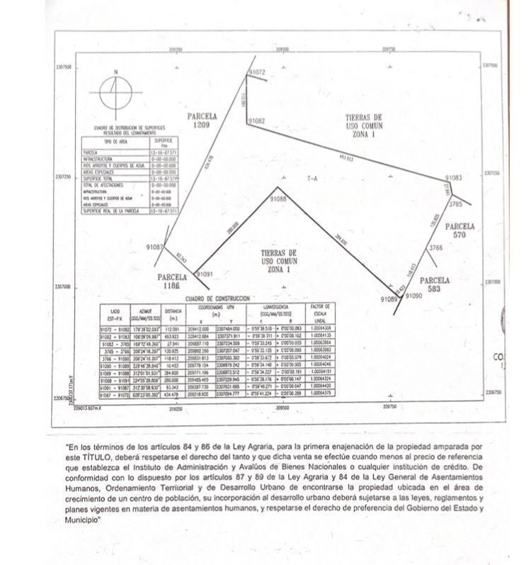 Imagen 5 de 6