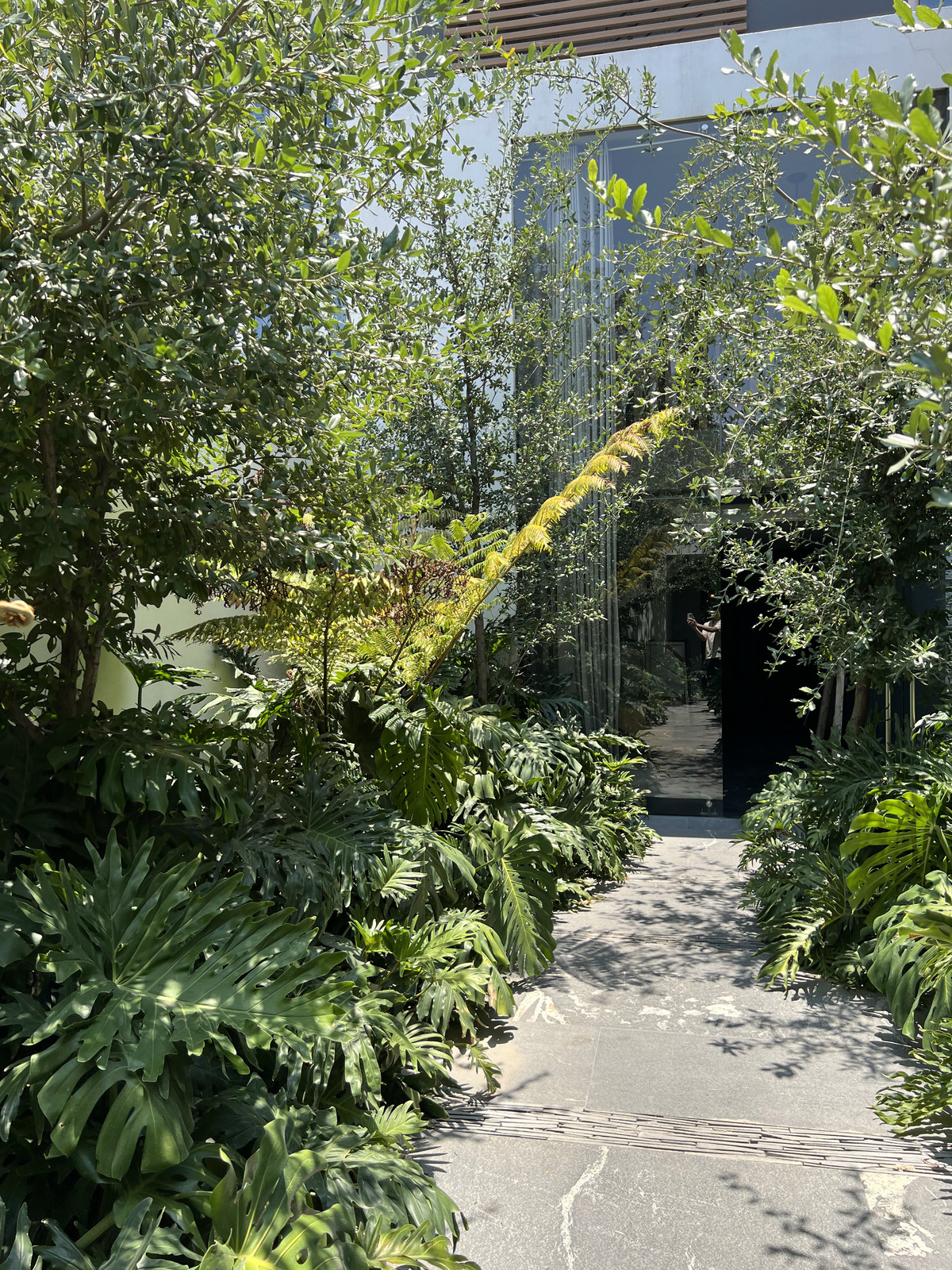 28 of 30: ACCESO PEATONAL / VISTA DE DIA