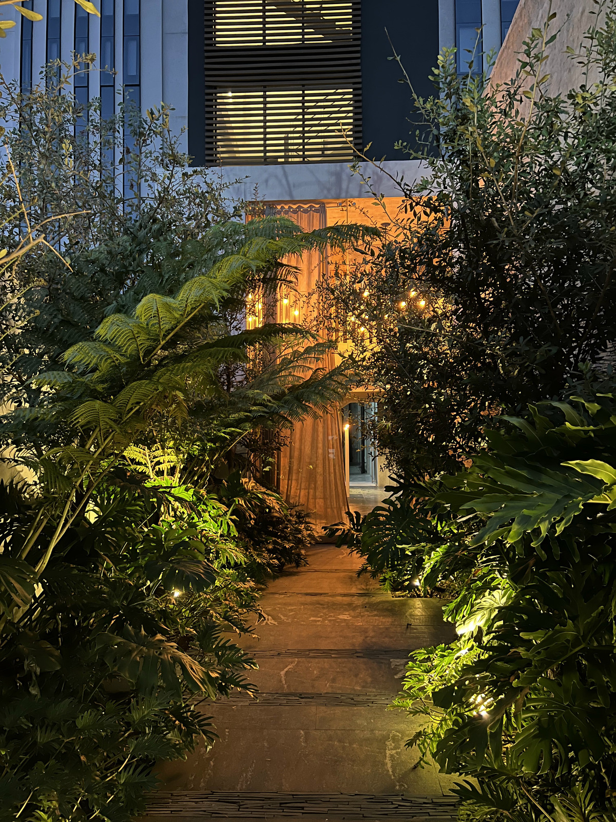 1 of 30: ACCESO PEATONAL / VISTA NOCTURNA