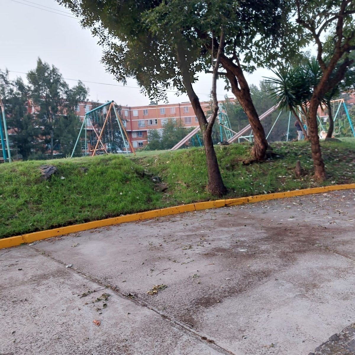 3 de 21