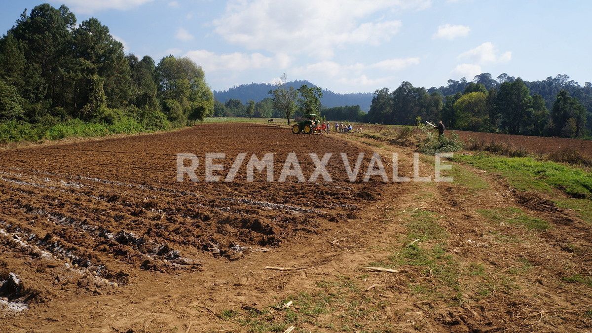 Terreno en Los Saúcos, Valle de Bravo, foto 2 de 16