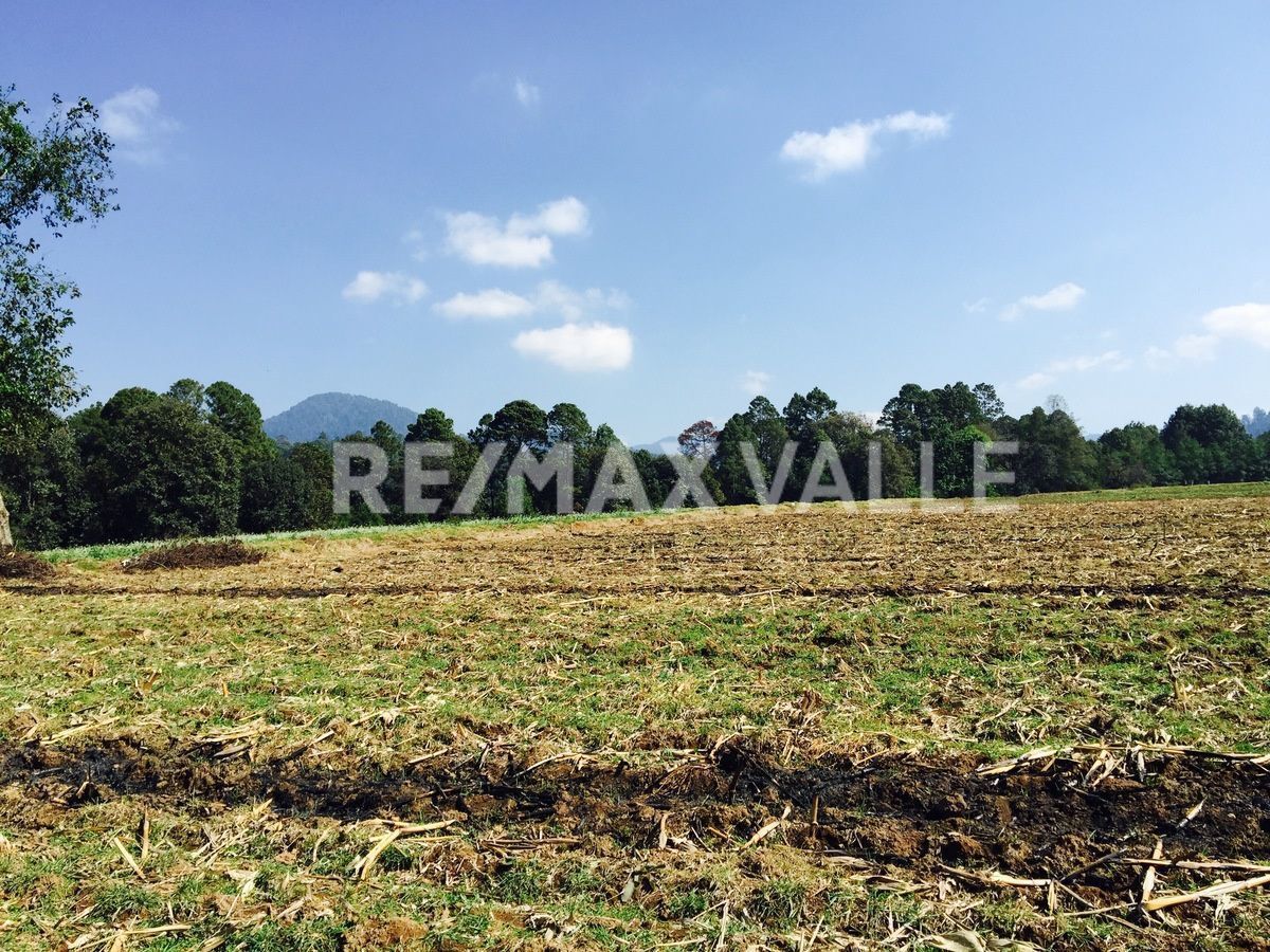 Terreno en Los Saúcos, Valle de Bravo, foto 3 de 16