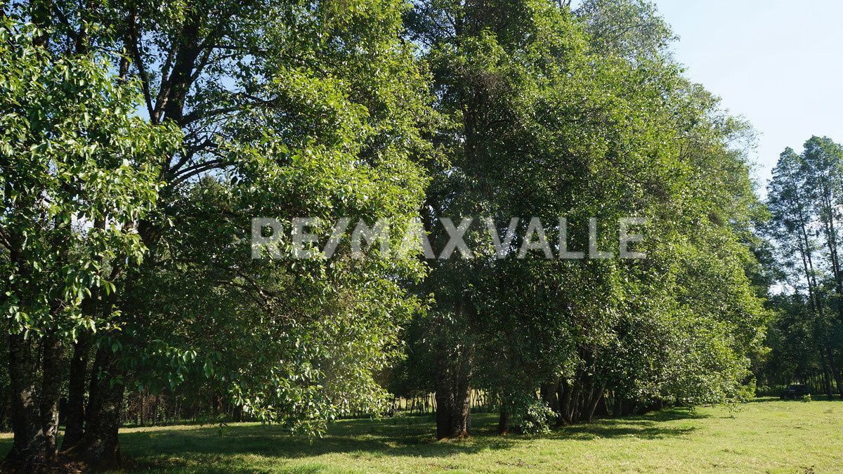 Terreno en Los Saúcos, Valle de Bravo, foto 4 de 16