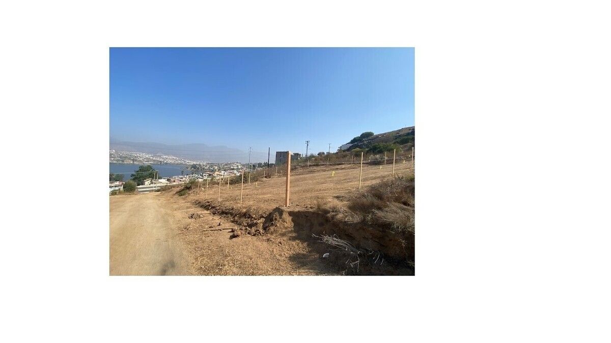 2 de 8: Calle principal