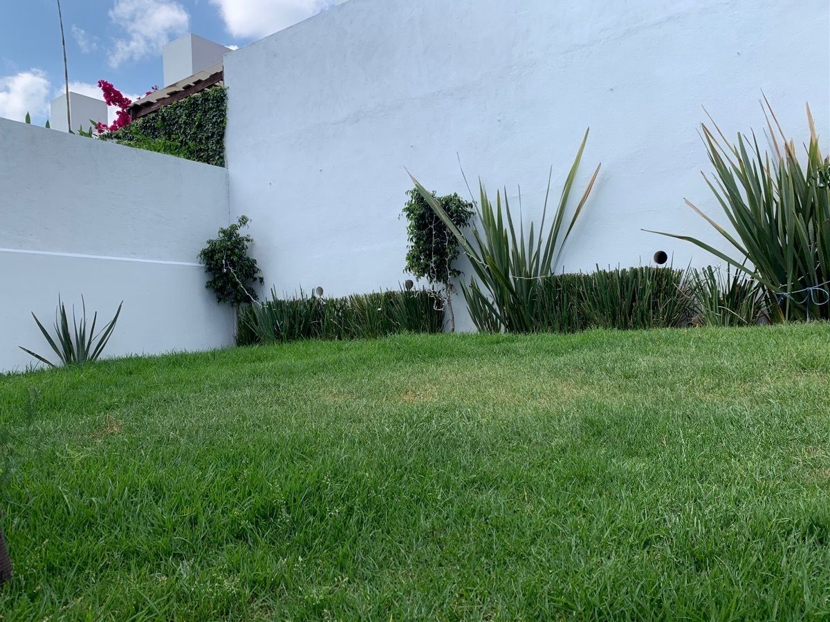 8 de 18