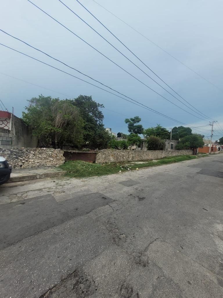 2 de 13