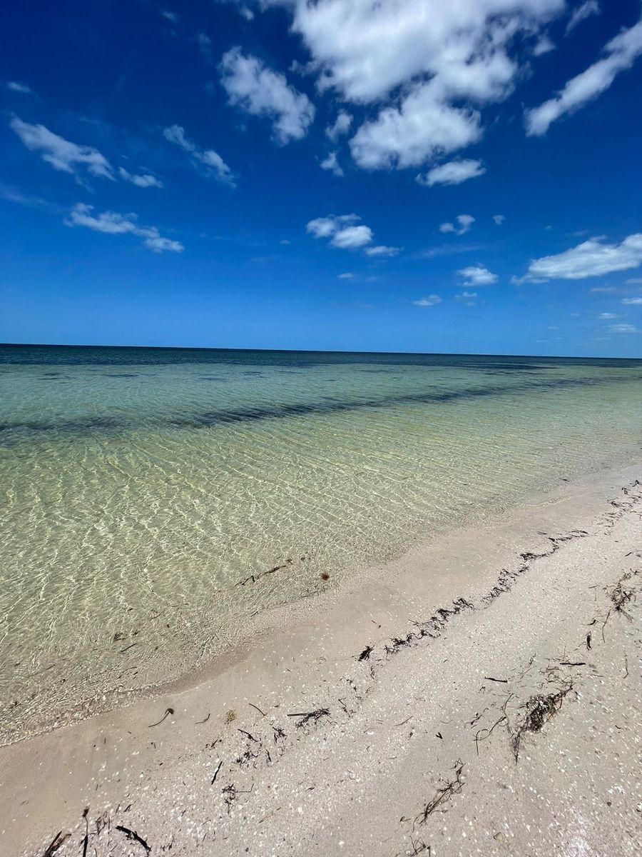 LOTES EN SANTA CLARA, PLAYA EN LA COSTA YUCATECA, DZIDZANTÚN, YUCATÁN