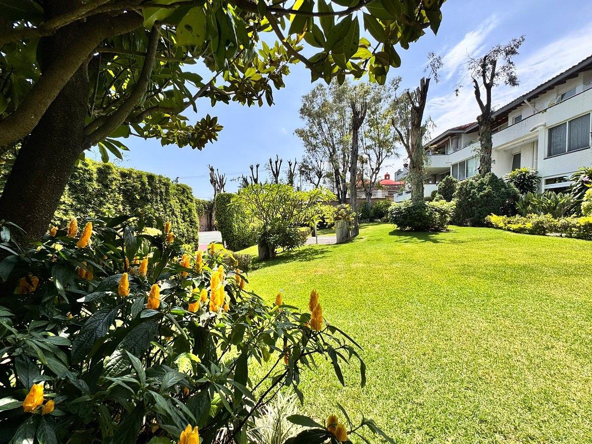 Departamento en Vista Hermosa, Cuernavaca, foto 17 de 19