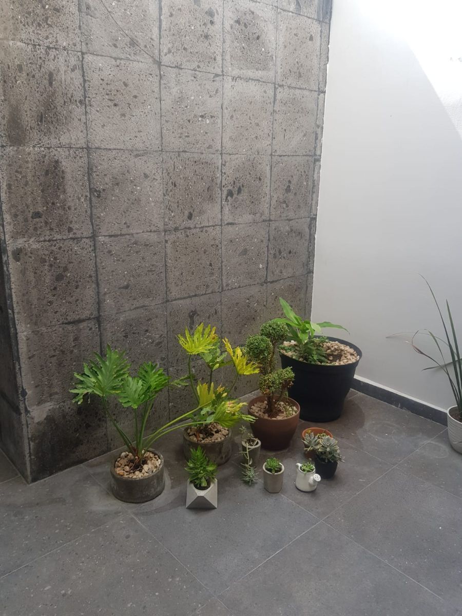 3 de 12: Recibidor