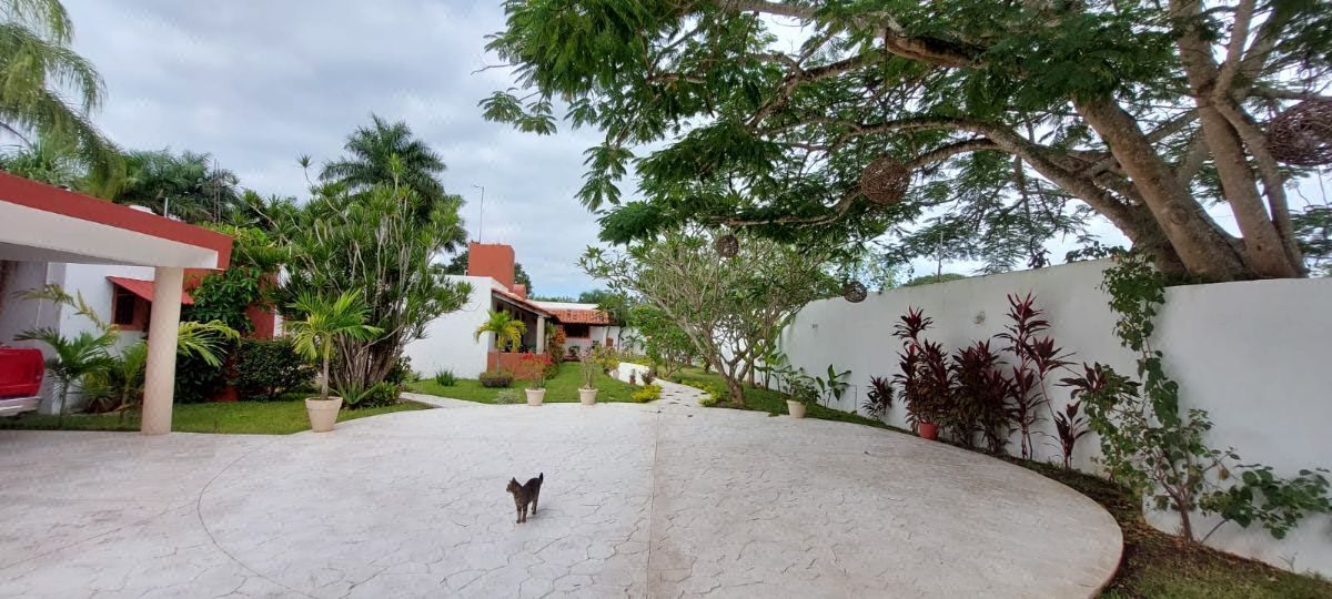 House in Conkal, Conkal, photo 4 of 39