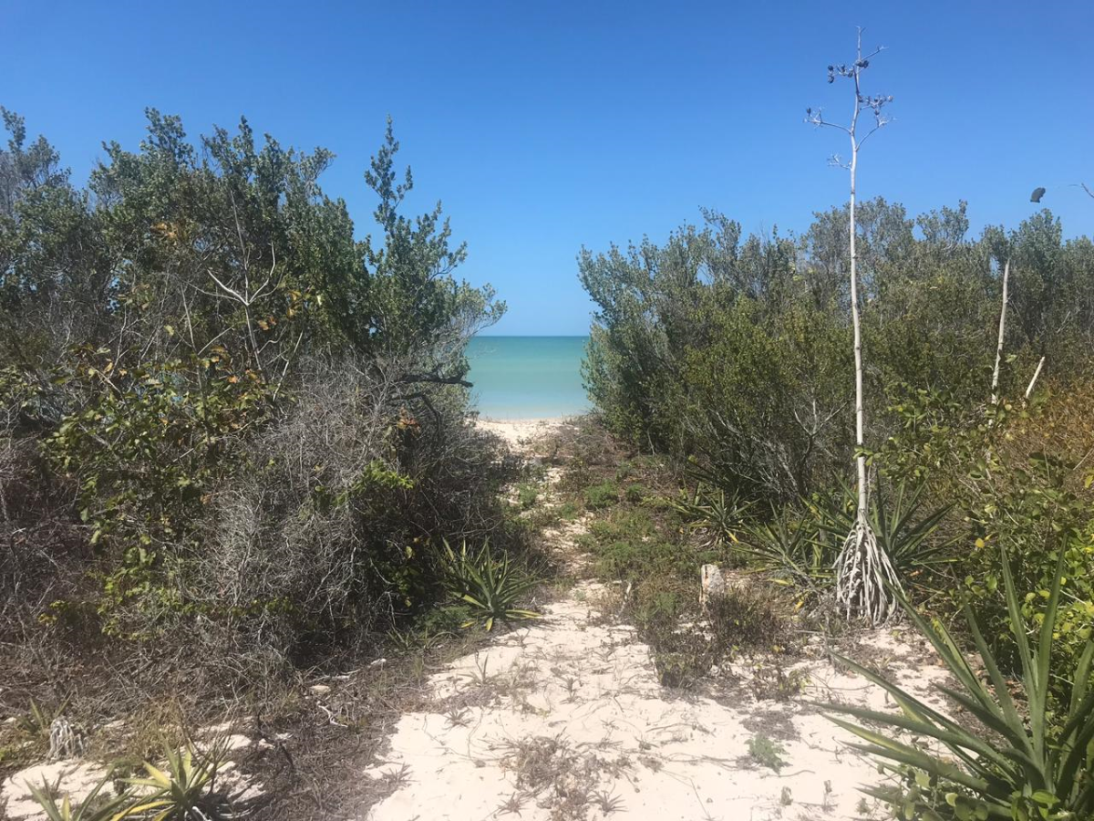 Terreno en venta en Sisal, Yucatán frente a playa EasyBroker