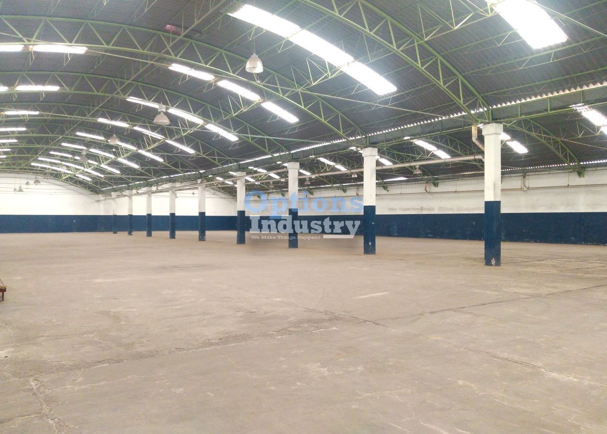 4 de 4