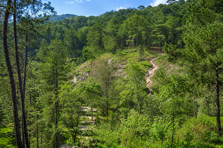 SPECTACULAR LAND FOR SALE IN MAZAMITLA