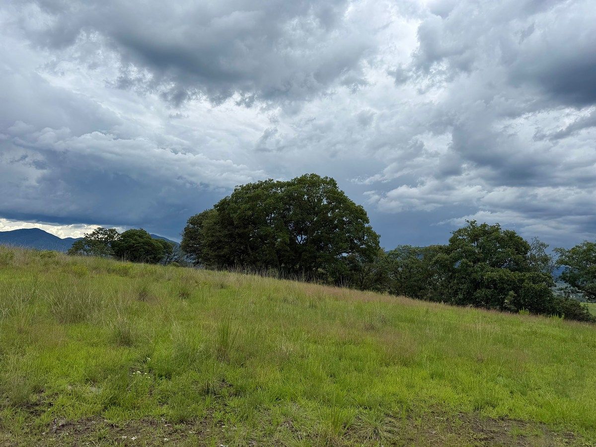 Terreno en El Palomar, Villa del Carbón, foto 3 de 9