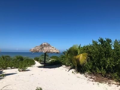 Casa en San Bruno, Dzemul, foto 19 de 21