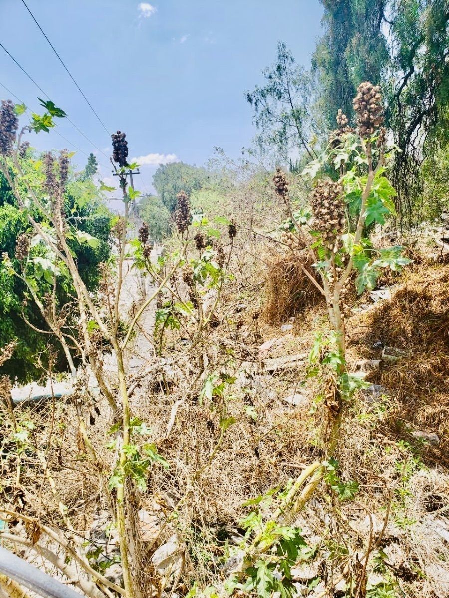 30 de 50
