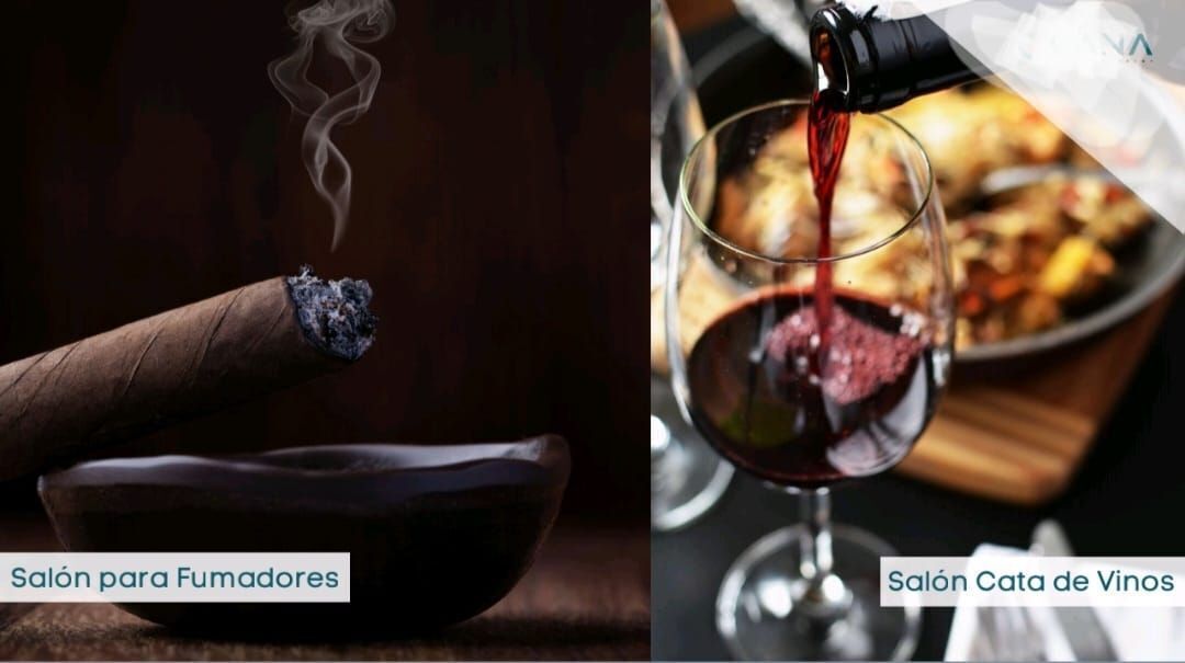 12 de 16: Salón de fumadores
Salón de cata de vinos