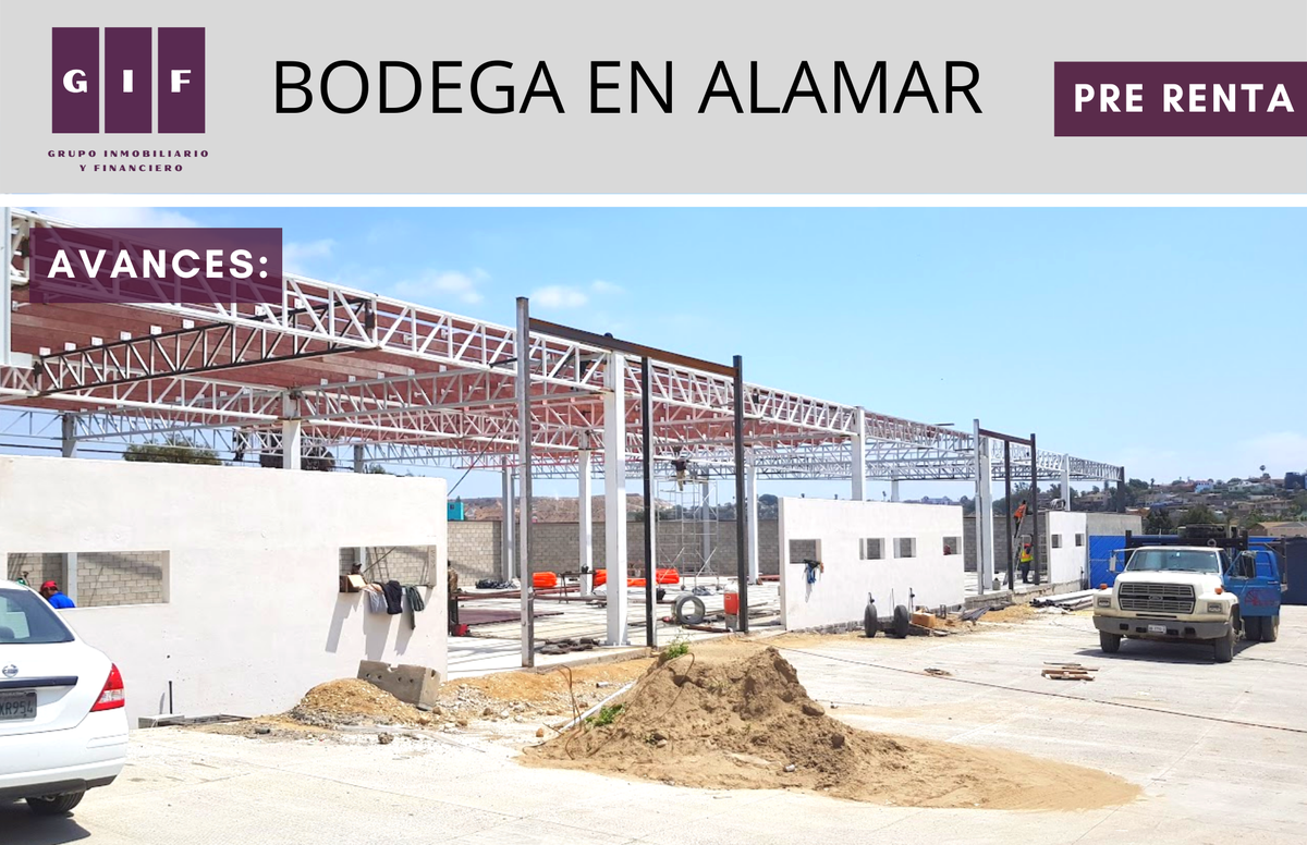 5 de 6