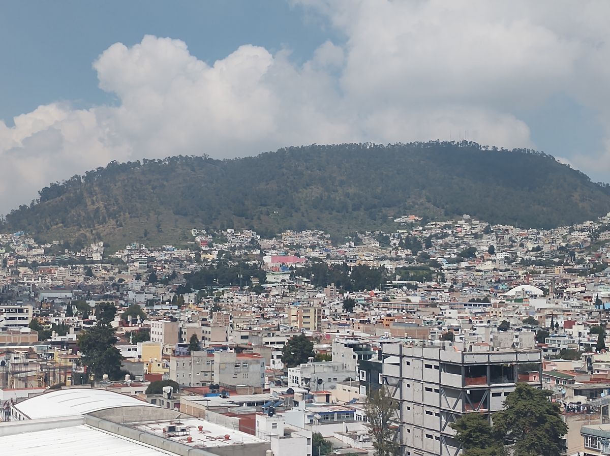 11 de 11
