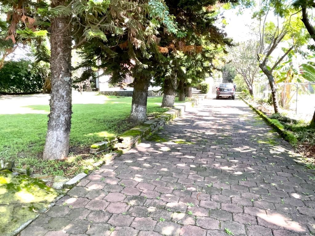 Imagen 2 de 10