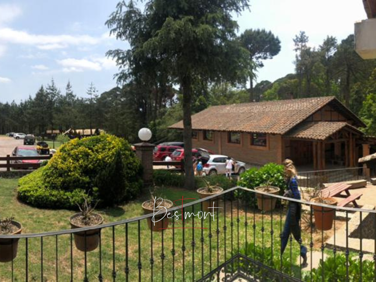 3 de 27: Zacatlán Adventure 