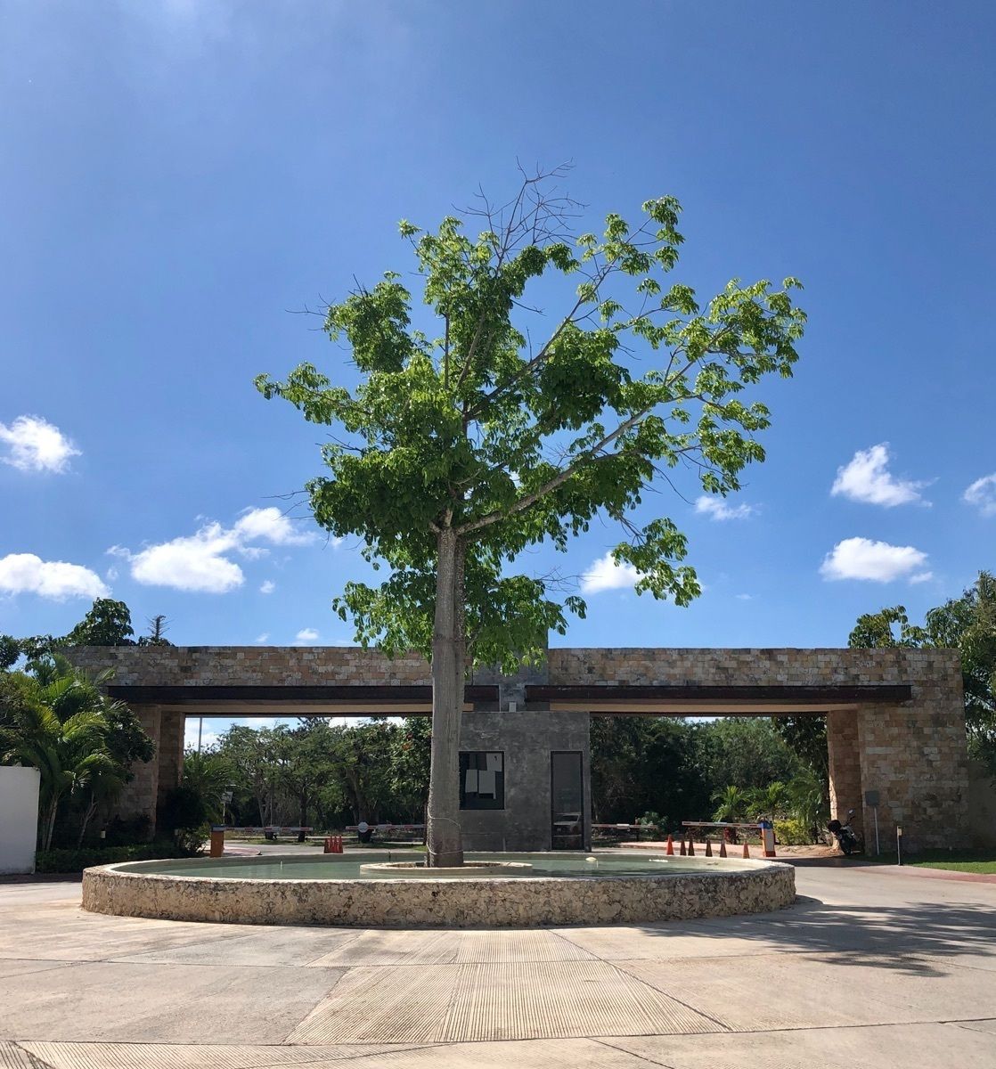 Casa en Santa Gertrudis Copo, Mérida, foto 13 de 14