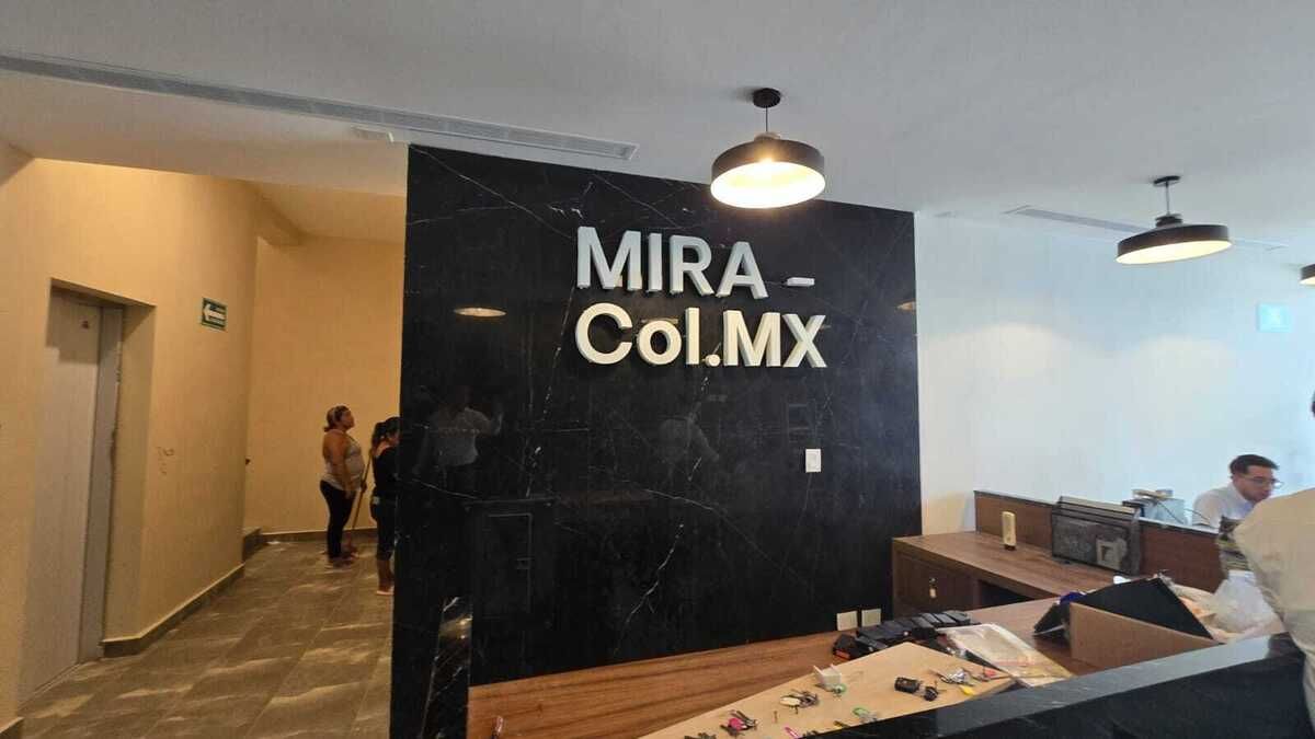 Imagen 5 de 10